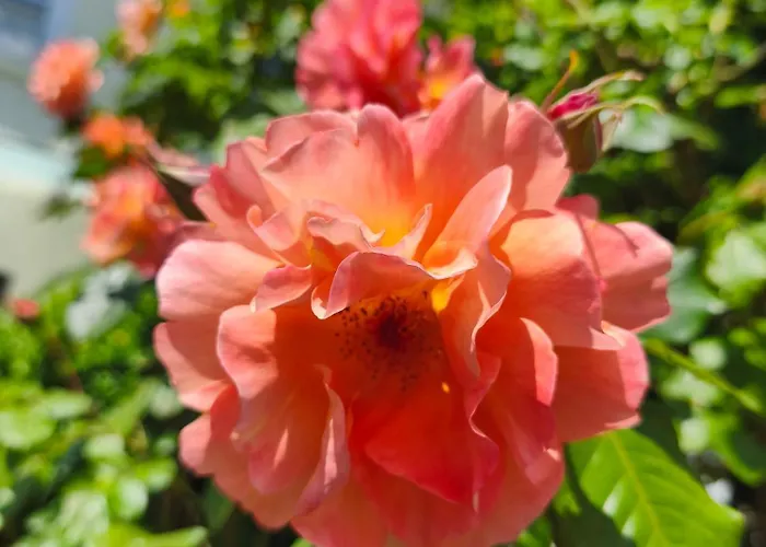 Tieringer Landglueck Hébergement de vacances *